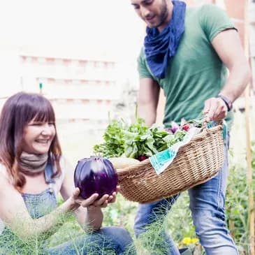 Girl holding a fruit in her hand with a guy holding a basket next to her