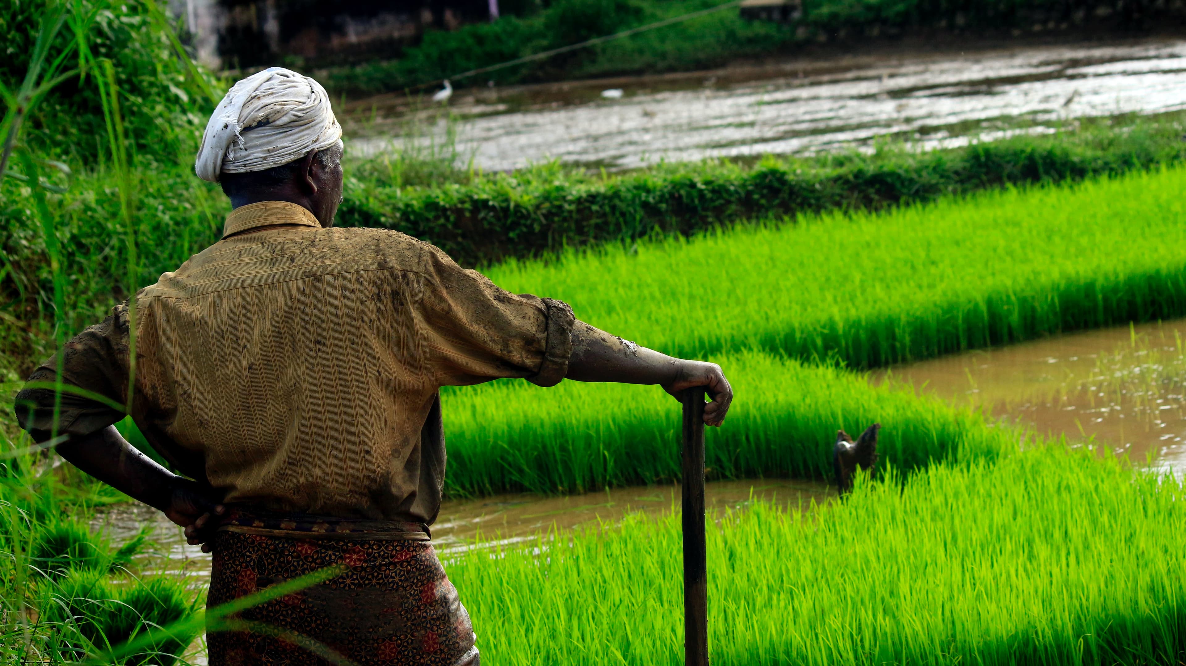 Farmer standing in front of his farm